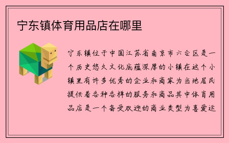 宁东镇体育用品店在哪里